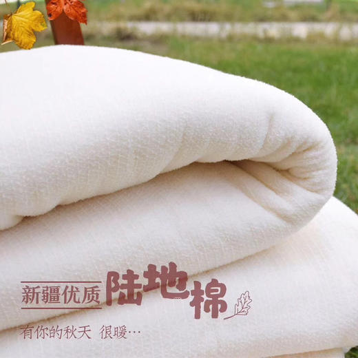 新疆棉花被一级优质棉被子10斤 手工包边 （多规格尺寸可选） 商品图5