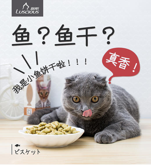 猫饼干合集路斯猫森林齿一生珍致 商品图4