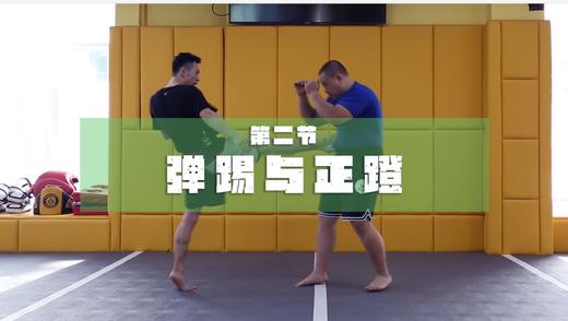 2.弹踢与正蹬细节 商品图0
