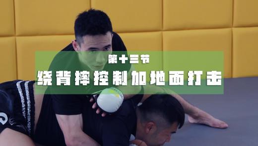 13.过肩摔转十字固 商品图0