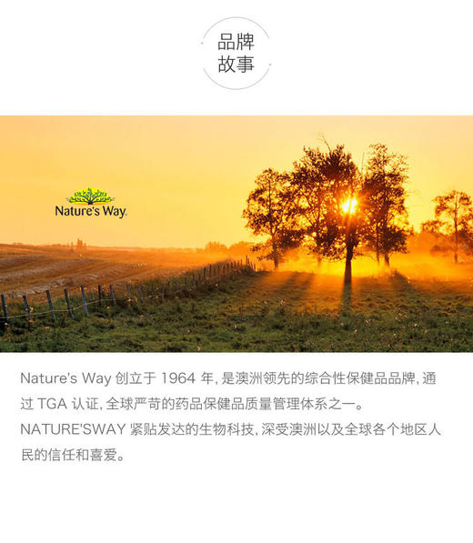 澳洲佳思敏Nature's Way 胶原蛋白片 60片JPY带授权招加盟代理 商品图8