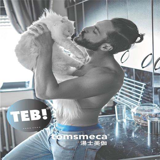 汤恩贝J系列猫用罐头10种口味混合装 80gJPY带授权招加盟代理 商品图13