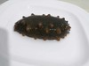 大连活海参1斤装3一4条// 商品缩略图7