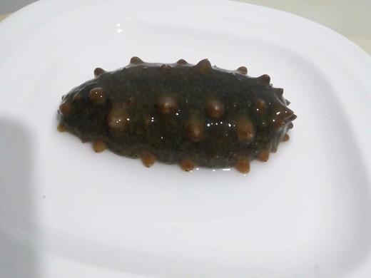 大连活海参1斤装3一4条