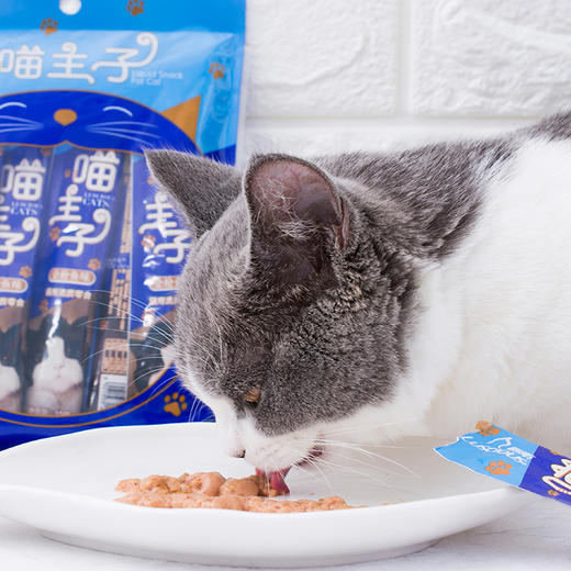 路斯喵主子猫条15g*12支 商品图3