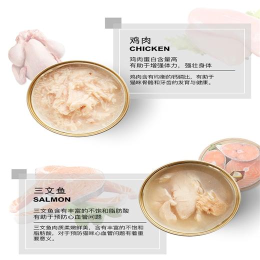 汤恩贝J系列猫用罐头10种口味混合装 80gJPY带授权招加盟代理 商品图9