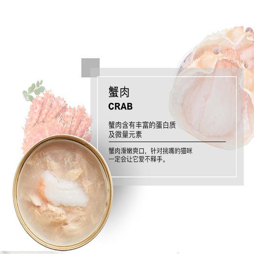 汤恩贝J系列猫用罐头10种口味混合装 80gJPY带授权招加盟代理 商品图10