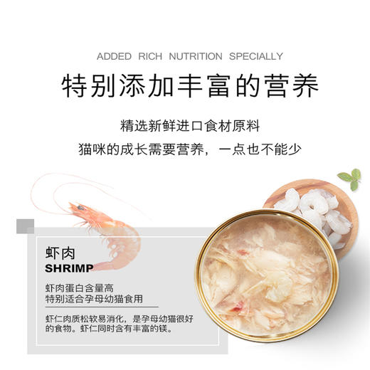 汤恩贝J系列猫用罐头10种口味混合装 80gJPY带授权招加盟代理 商品图8