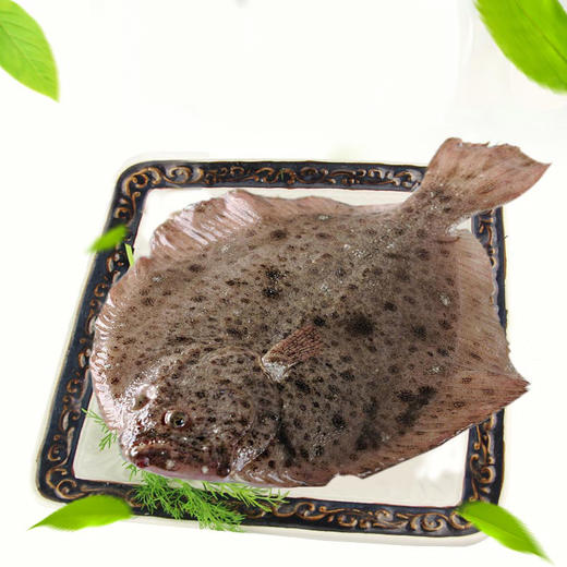 ysd多宝鱼比目鱼500g