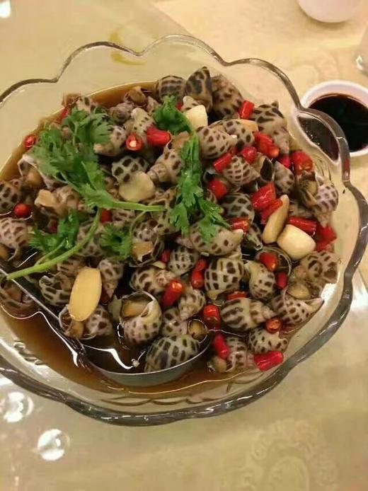 鲜活花螺500g/份// 商品图4