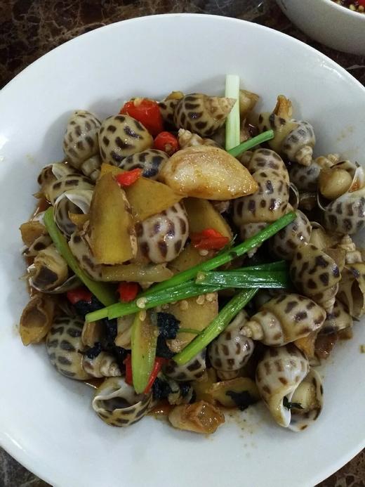 鲜活花螺500g/份// 商品图3