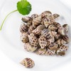 鲜活花螺500g/份// 商品缩略图1