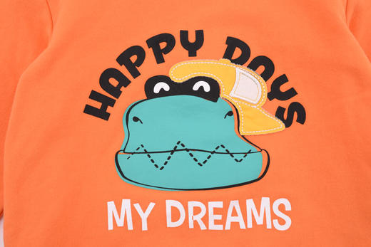 棉果果春秋季男童小毛圈连帽卫衣M112182220108 商品图5