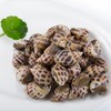 鲜活花螺500g/份// 商品缩略图0
