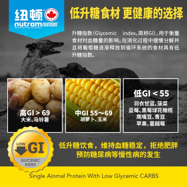 纽顿 无谷 T24全龄猫JPY带授权招加盟代理