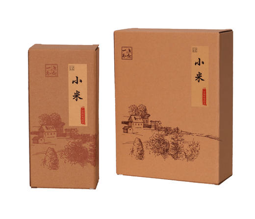 小米大金苗优质黄小米营养丰富颗粒饱满 商品图1