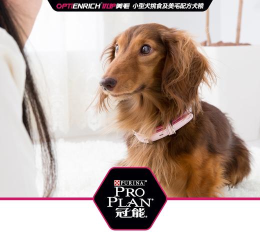 GL-冠能小型犬挑食及美毛配方成犬粮一袋装JPY带授权招加盟代理 商品图1