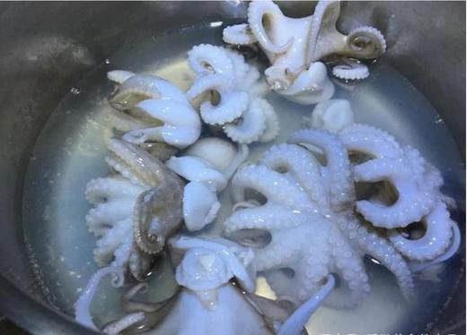 冰鲜八爪鱼1.2斤装/盒 商品图1