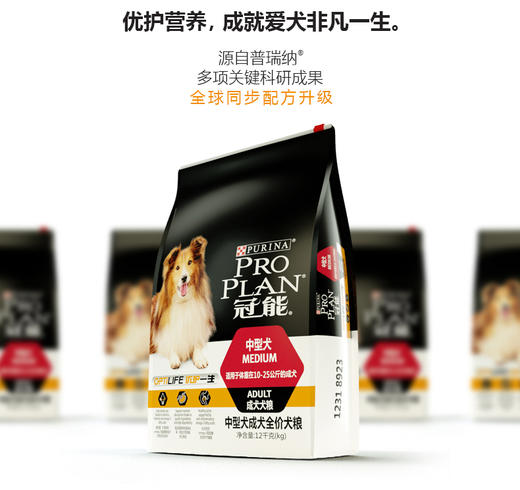 GL-冠能中型犬成犬全价犬粮8923-12kgJPY带授权招加盟代理 商品图2