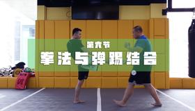 6.拳法与弹踢/正蹬结合