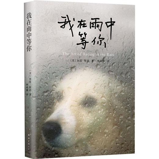 我在雨中等你 商品图0