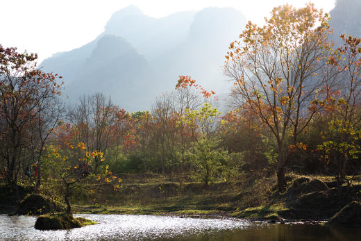 11月27日/12月17日广西乌桕滩、恭城月柿、秀美相公山3天摄影（臻享） 商品图12