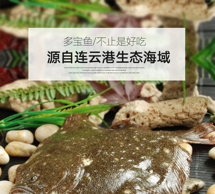 ysd多寶魚比目魚500g