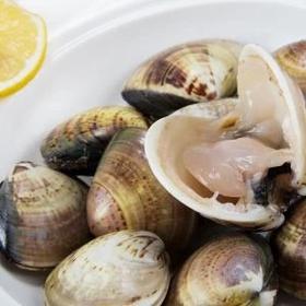 鲜活文蛤1斤/份//