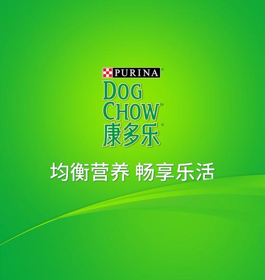 -康多乐幼犬7438-15kgJPY带授权招加盟代理 商品图13