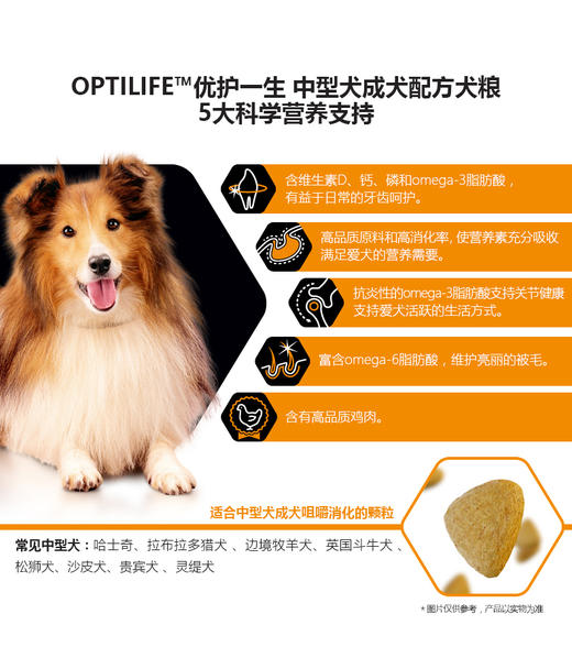 GL-冠能中型犬成犬全价犬粮8923-12kgJPY带授权招加盟代理 商品图5