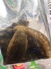大连活海参1斤装3一4条// 商品缩略图5