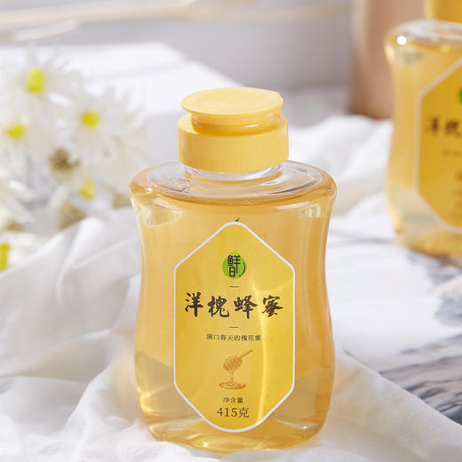 酒姐甄选洋槐蜂蜜 满口春天的蜂蜜1瓶 商品图0