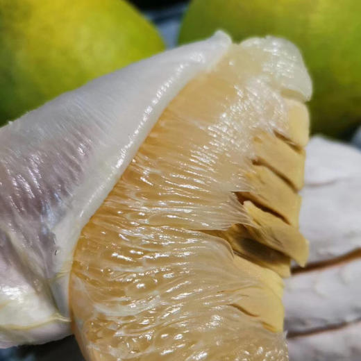 梅州老树沙田柚子 5斤/10斤 商品图9