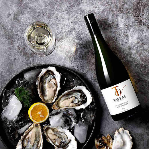 【比肩云雾之湾】新西兰泰雷斯庄园马尔伯勒长相思干白2023 商品图3