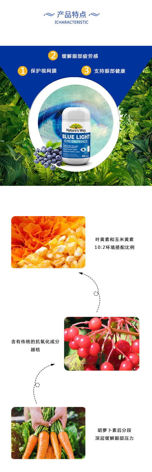 澳洲Nature's Way 成人蓝光护眼片60粒JPY带授权招加盟代理 商品图2