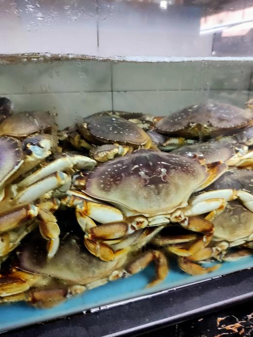 珍宝蟹1.8-2斤/只【香鲜诱人】 商品图1