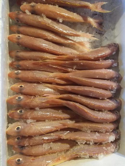 金线鱼(1斤装)三条左右 商品图3