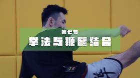 7.拳法与鞭腿结合