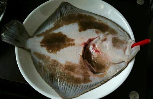 活的多宝鱼1-1.1斤/条 商品图2