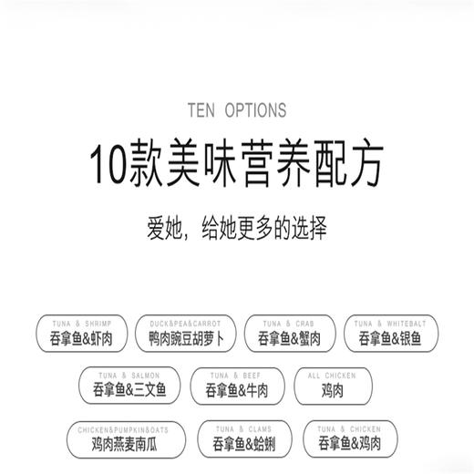 汤恩贝J系列猫用罐头10种口味混合装 80gJPY带授权招加盟代理 商品图3