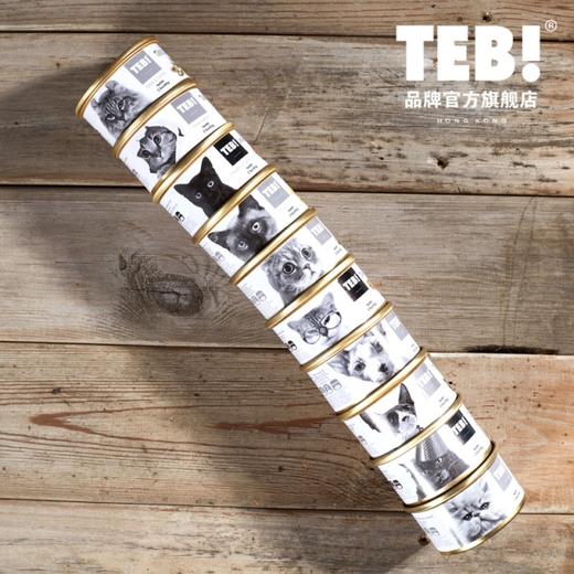 汤恩贝J系列猫用罐头10种口味混合装 80gJPY带授权招加盟代理 商品图0