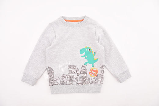 棉果果春秋季男童小毛圈套头T恤卫衣M112180220107 商品图1