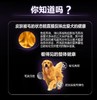 GL-丝倍亮小型犬幼犬JPY带授权招加盟代理 商品缩略图2