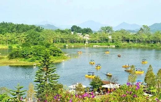 赏枫 | 醉美秋色—佛冈田野绿世界休闲摄影一天活动 商品图6