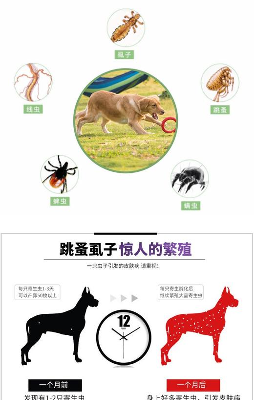 福来恩犬用体外驱虫滴剂 3支/盒JPY带授权招加盟代理 商品图3