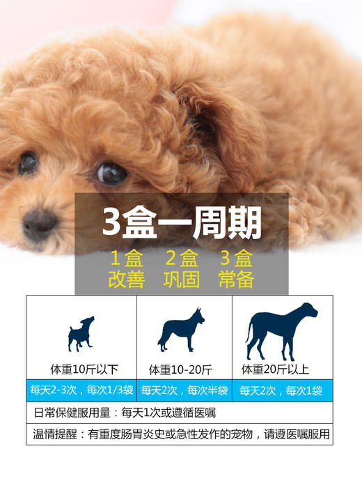 GL-谷登宠物益生菌 1盒装JPY带授权招加盟代理 商品图4