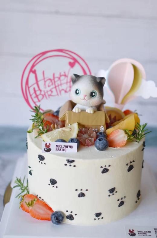 家有喵星人加高款 商品图2