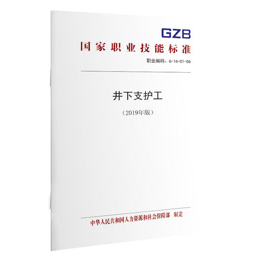 国家职业技能标准  井下支护工（2019年版） 商品图0