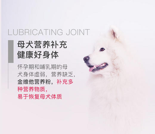 BJ-MAG金维他营养粉 300片 宠物营养JPY带授权招加盟代理 商品图7