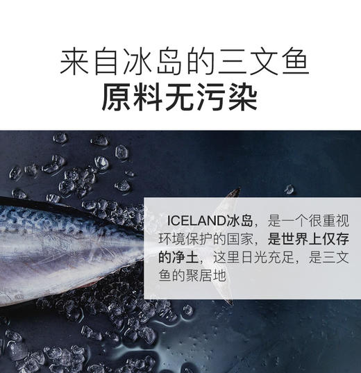 BJ-MAG犬用浓缩冰岛三文鱼鱼油150ml 宠物鱼油JPY带授权招加盟代理 商品图4